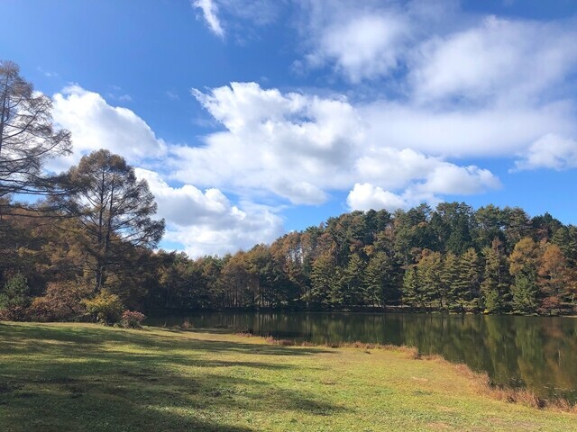 湖畔キャンプ場おすすめの千代田湖キャンプ場のサイト