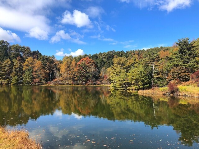 湖畔キャンプ場おすすめ千代田湖キャンプ場