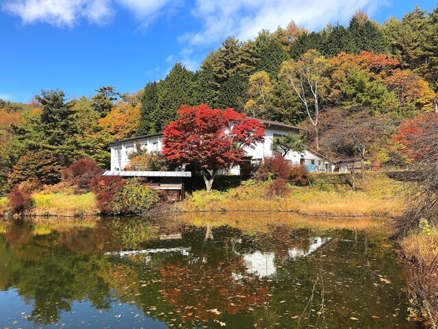 湖畔キャンプ場おすすめの千代田湖キャンプ場のサイトと秋の紅葉の様子