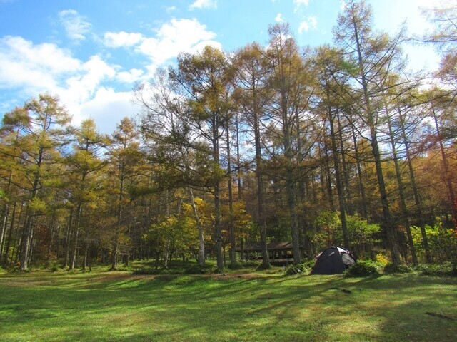 千代田湖キャンプ場の林間サイトと秋の紅葉の絶景