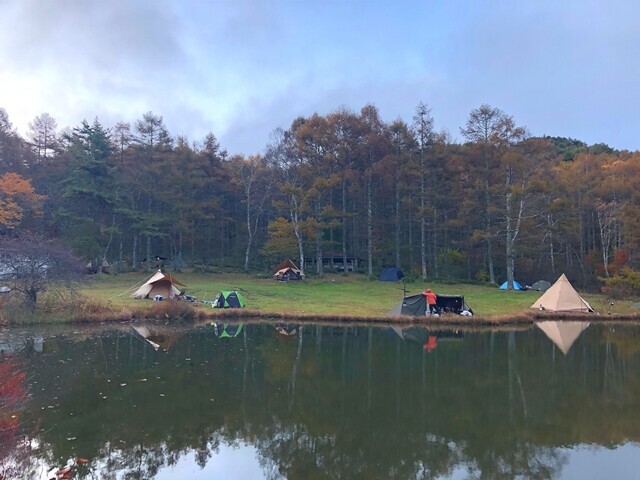 千代田湖キャンプ場の紅葉の様子と森