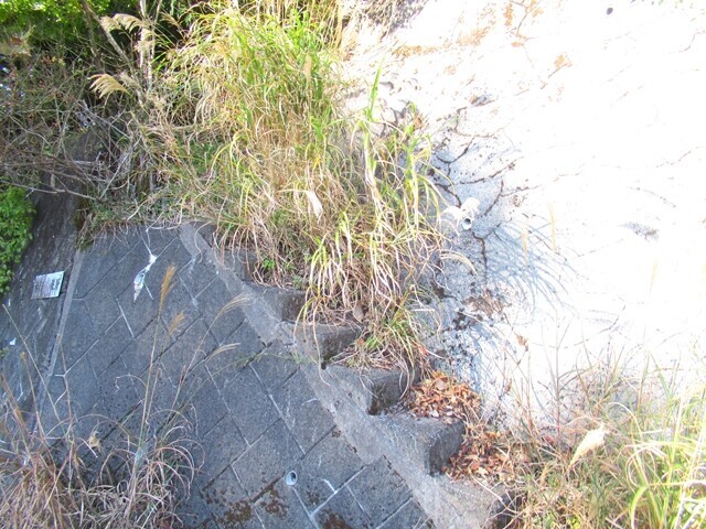 佐野峠から三石山を目指して登山を再開の様子