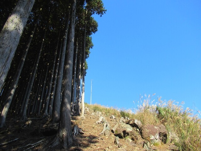 三石山登山道の入口