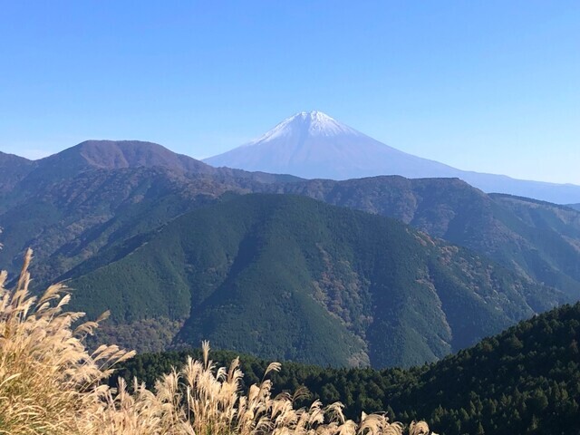 三石山登山道からの富士山景色