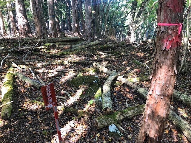 三石山登山ルートの目印になる