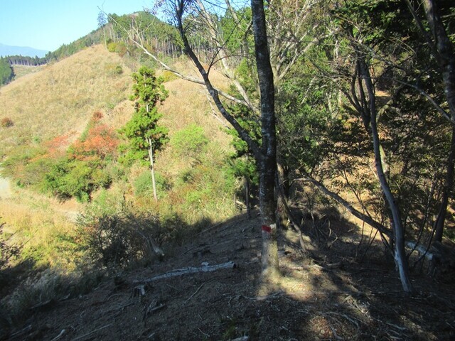 三石山登山コース上のマーキング