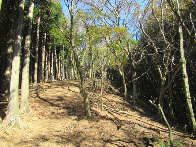 三石山の山頂に至る登山ルートの様子