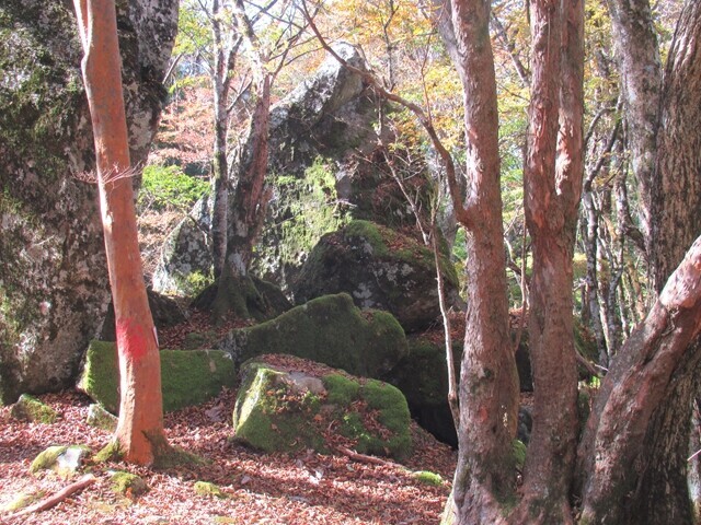 三石山の本堂（三石山神社）周辺の景色