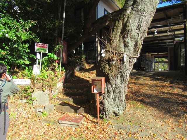 大峰蛇之倉七尾山 修験節律根本道場 甲斐やすらぎの宮