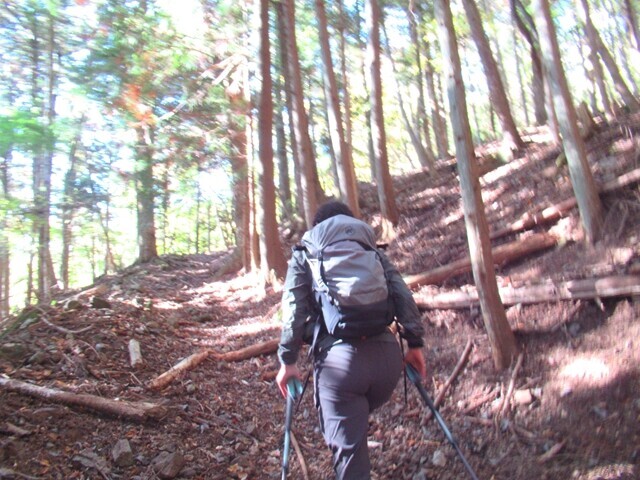 富士見山へ登山した山仲間