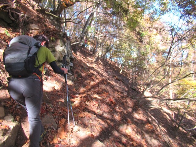 >堂平登山コース詳細