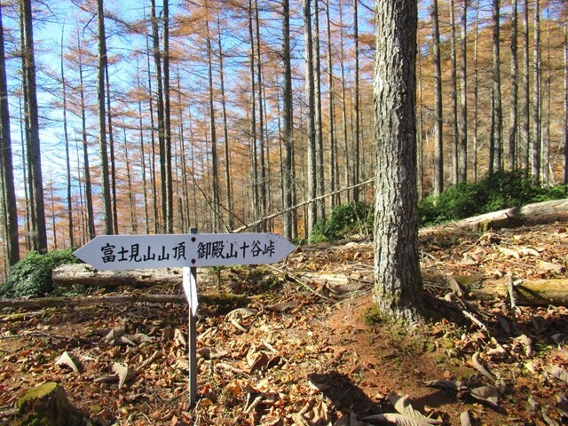 富士見山と御殿山への分岐