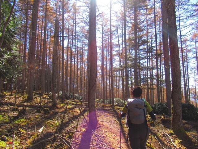 富士見山山頂までの登山の様子