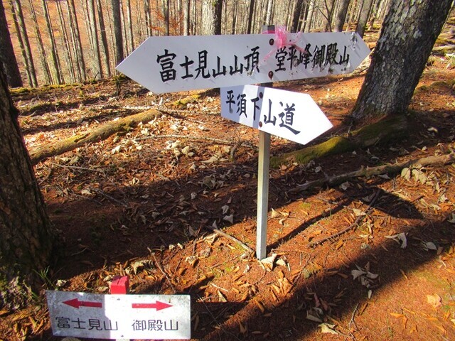 平須登山道の分岐