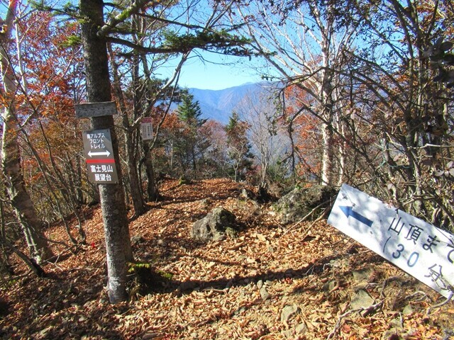 富士見山展望台から富士見山の山頂までのコースタイム