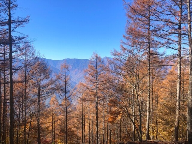 富士見山の山頂から南アルプス方面の景色