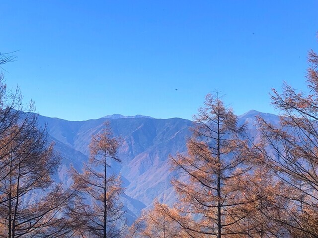 富士見山の山頂から聖岳の景色