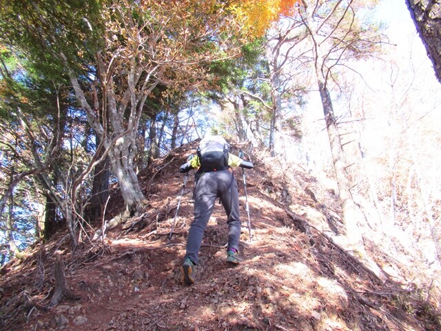 富士見山の山頂から富士山展望台までの登山コース