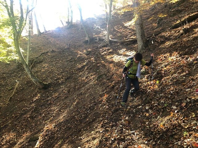 平須登山コースを歩く登山者