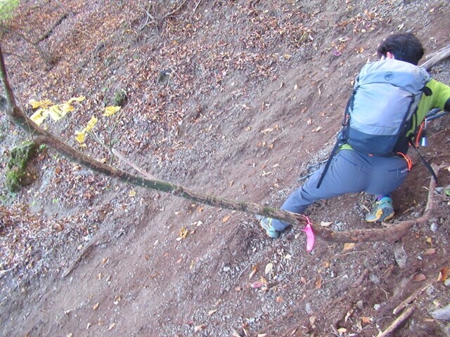 平須登山コーストラバース箇所