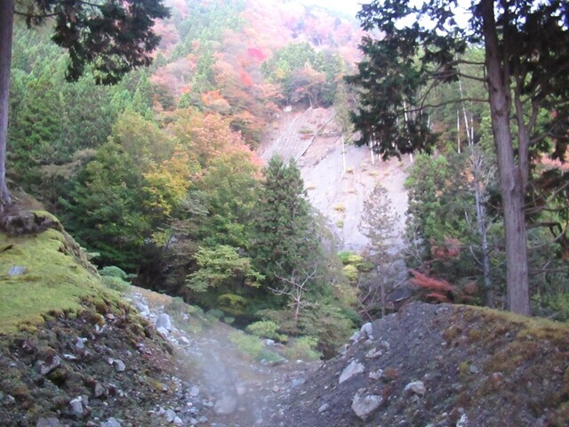 奥山温泉からの林道歩きの様子