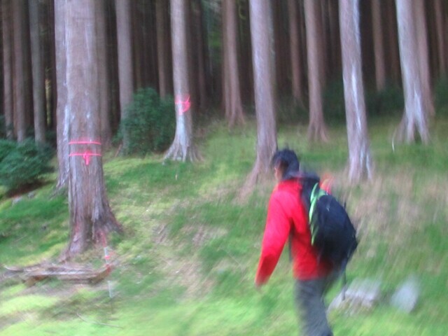 細島峠(地蔵峠)を目指して登山している様子