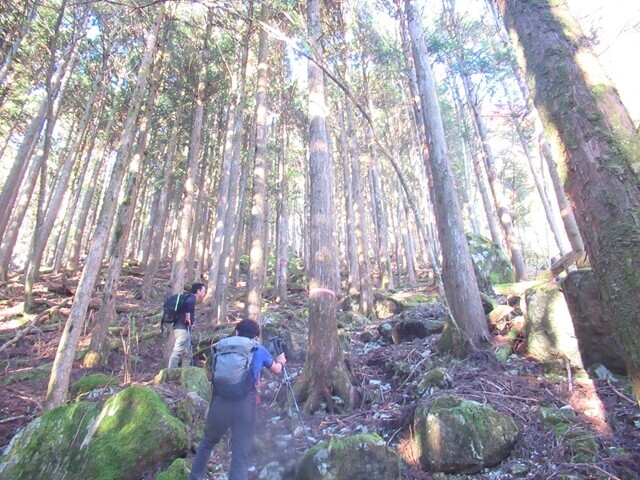 十枚山へ登山している仲間