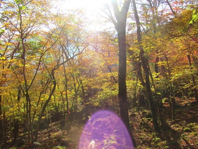 細島峠までは急登