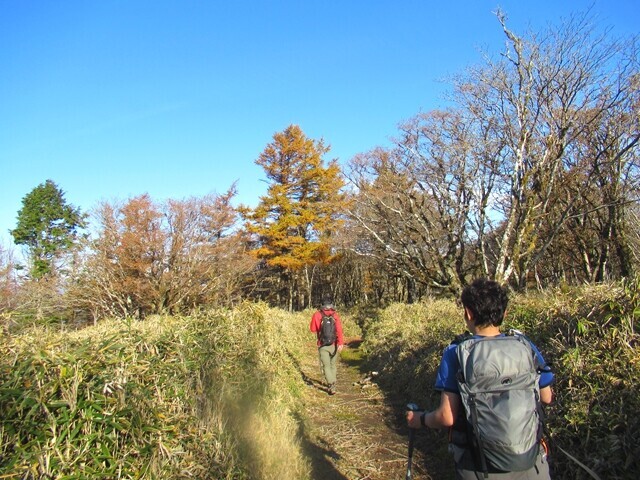 細島峠から地蔵峠を目指して登山スタートの様子