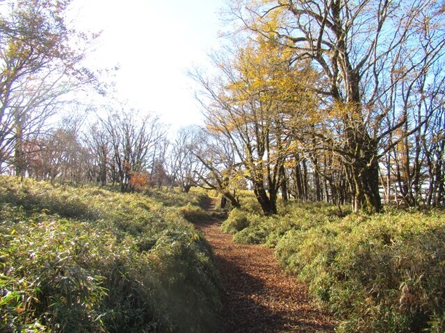 十枚山稜線歩きの様子
