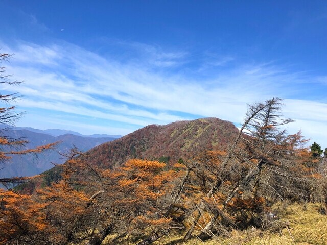 十枚山登山