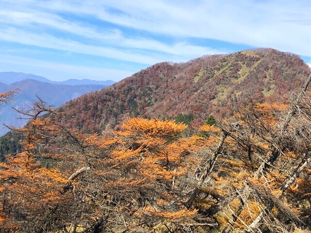 十枚山の山頂を遠望