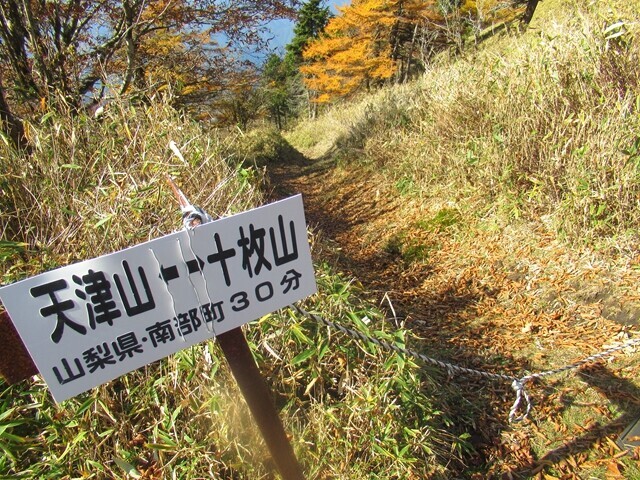 十枚峠の分岐