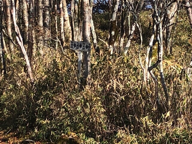 十枚山の山頂から八紘嶺方面に至る縦走路道標