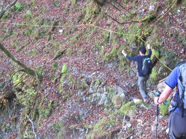 十枚峠から奥山温泉への登山コースの様子