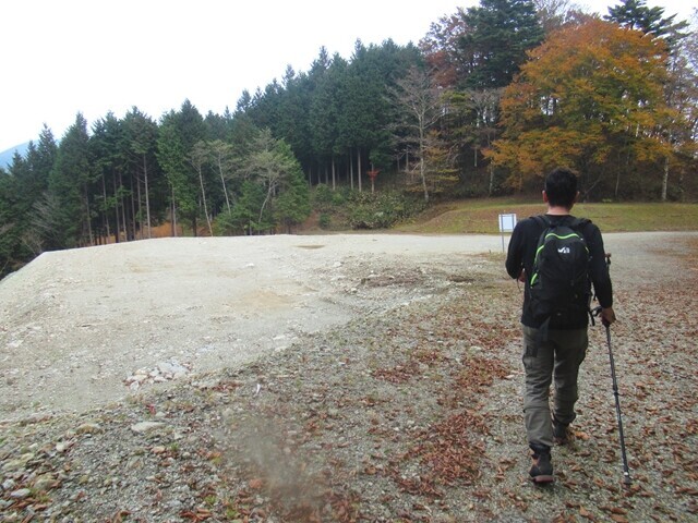 月夜の段の分岐を通通過しひたすら登りの林道を進んでいる様子
