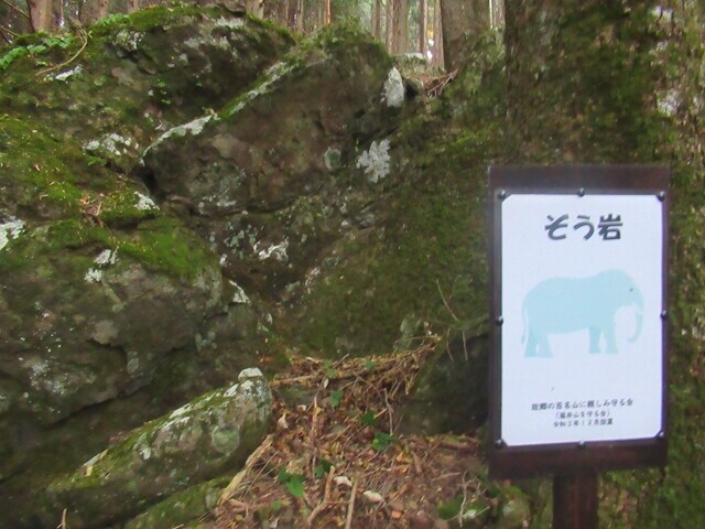 篠井山登山ルート奇石