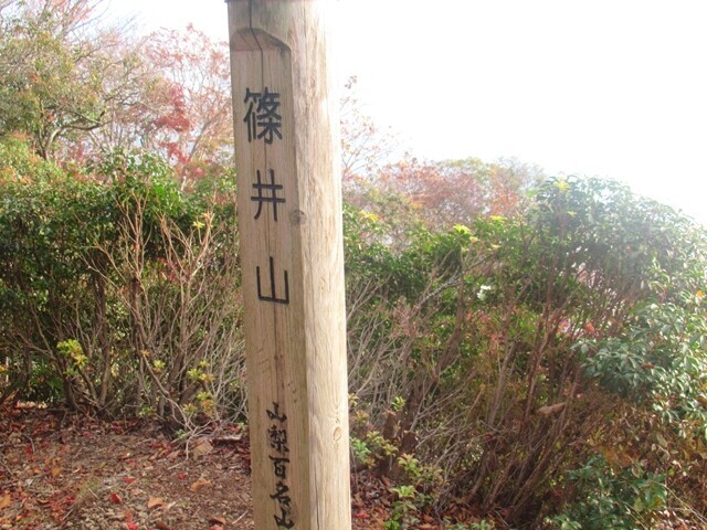 山梨百名山篠井山の山頂