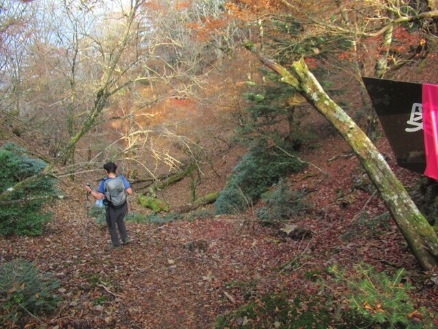 篠井山の山頂からヒルが多そうな登山道