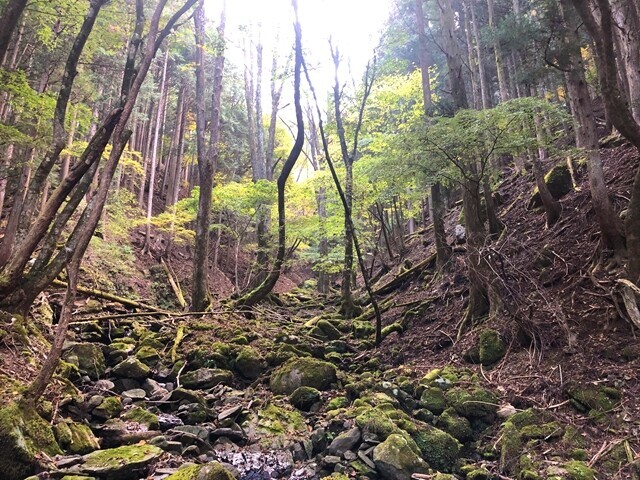 美しい自然が残る篠井山で