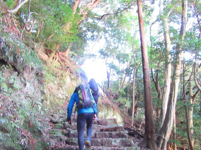 丹沢男坂ルートの登山の様子