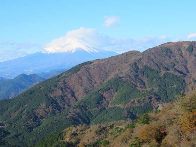 大山から見る富士山