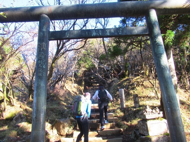 大山の山頂直下の鳥居