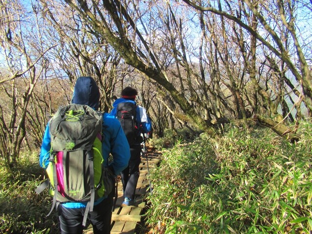 大山の山頂から水場の護摩屋敷の水へ行く様子
