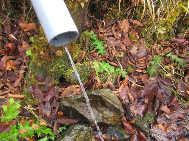 不動の清水の水量
