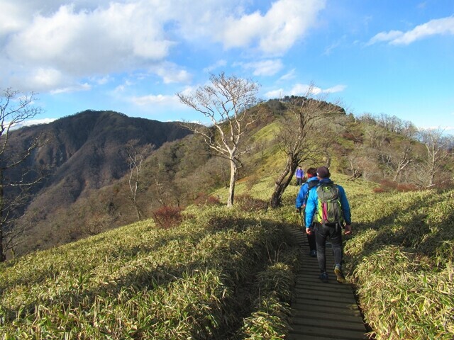 丹沢山を目指して黙々と登る登山者