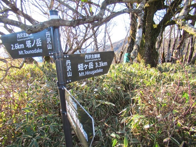 丹沢山から蛭ヶ岳までは、約３．３ｋｍの距離