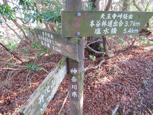 天王寺尾根ルート堂平ルートとの分岐