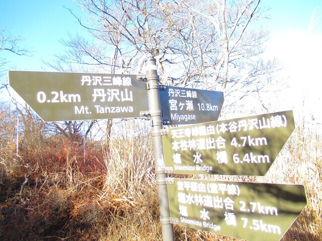 天王寺尾根と宮ヶ瀬湖方面の丹沢三峰ルート合流地点