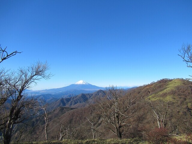 丹沢山の山頂からの富士山の景色